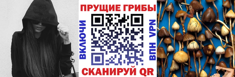 Галлюциногенные грибы MAGIC MUSHROOMS  Бабушкин 