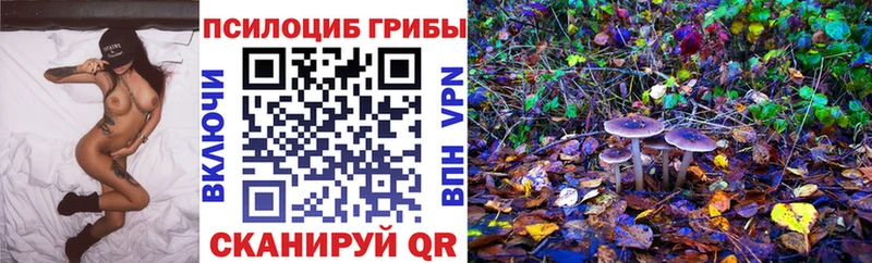 Псилоцибиновые грибы GOLDEN TEACHER Бабушкин